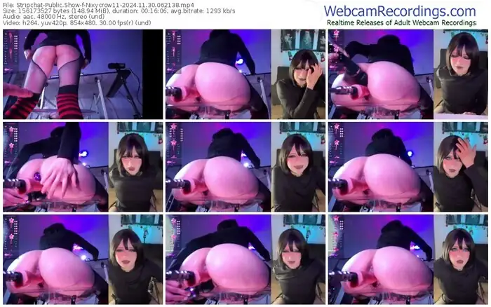 2024/11/30/stripchat-nixycrow11-06-21-38