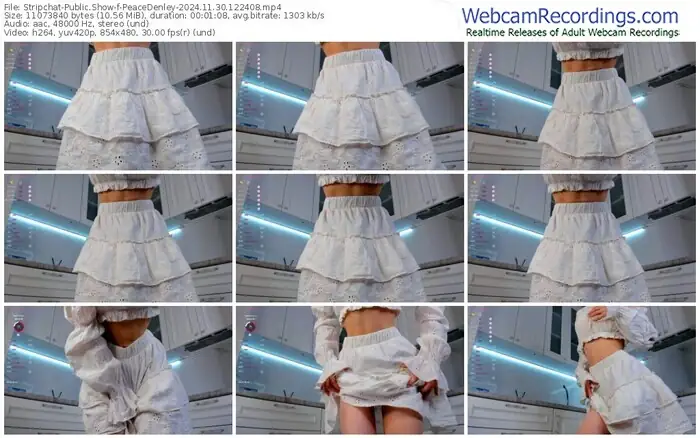 2024/11/30/stripchat-peacedenley-12-24-08