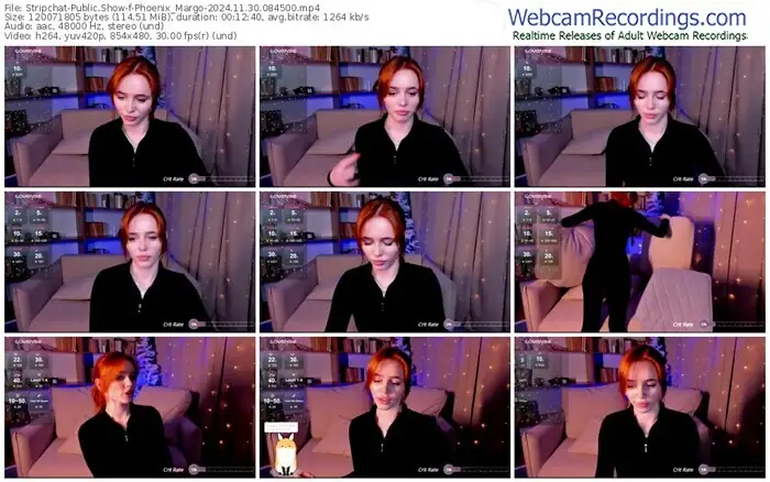 2024/11/30/stripchat-phoenix_margo-08-45-00