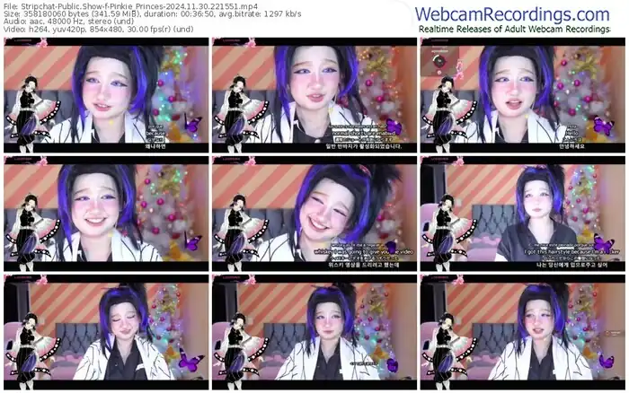 2024/11/30/stripchat-pinkie_princes-22-15-51