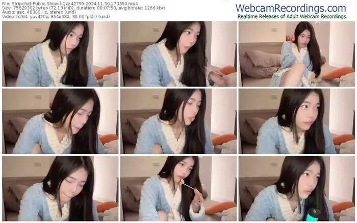 2024/11/30/stripchat-qaz42799-17-33-50