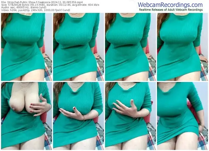 2024/11/30/stripchat-saakoora-08-53-59