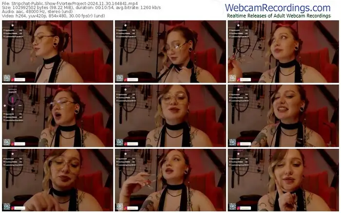 2024/11/30/stripchat-vortexproject-16-48-41