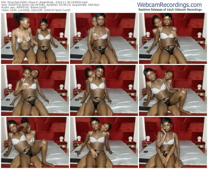 2024/11/30/stripchat-_dreamboat_-16-49-03