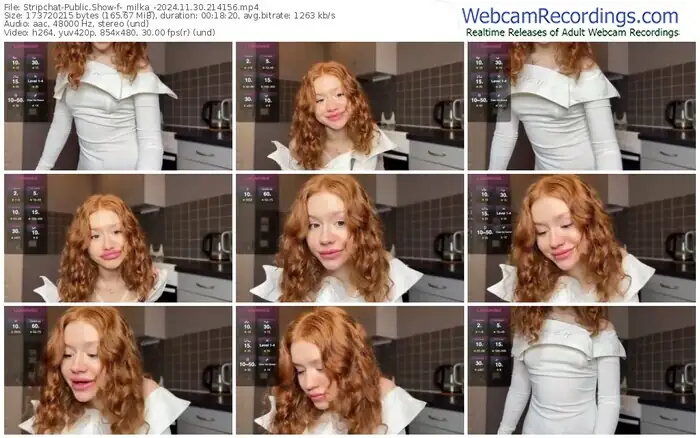 2024/11/30/stripchat-_milka_-21-41-56