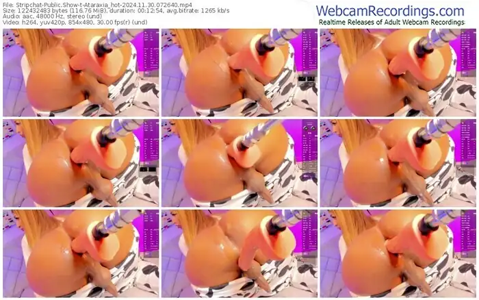 2024/11/30/stripchat-ataraxia_hot-07-26-40