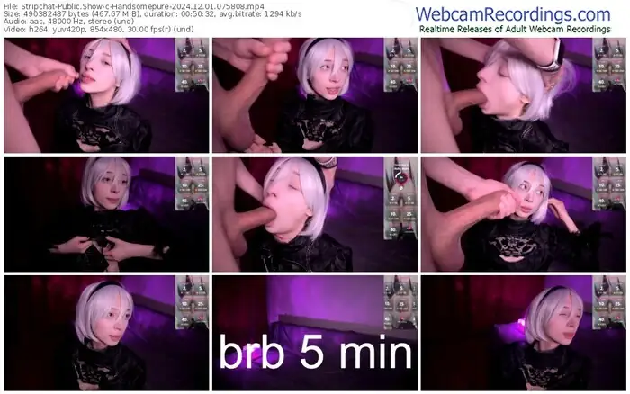 2024/12/01/stripchat-handsomepure-07-58-08