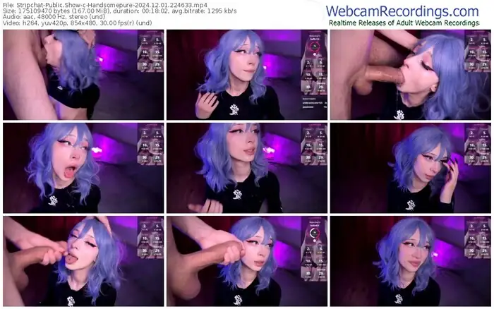 2024/12/01/stripchat-handsomepure-22-46-33