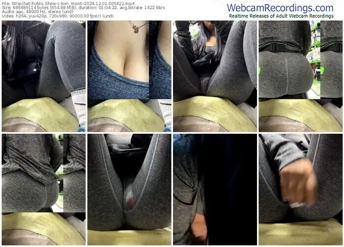 2024/12/01/stripchat-kim_monti-00-54-22