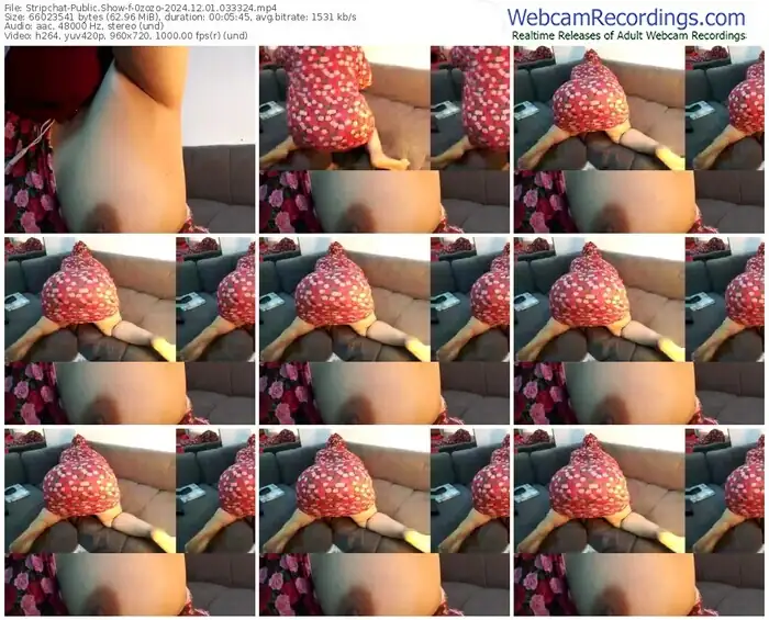 2024/12/01/stripchat-0zozo-03-33-24