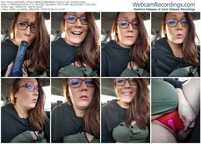 2024/12/01/stripchat-bbwqueenbeee-22-29-53