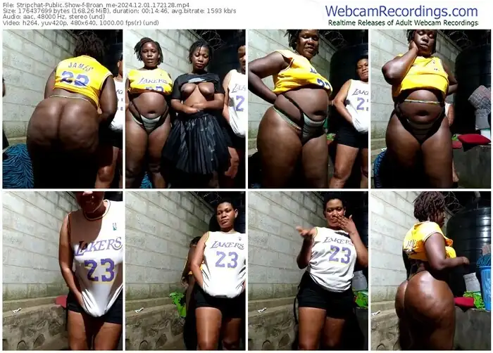 2024/12/01/stripchat-broan_me-17-21-28