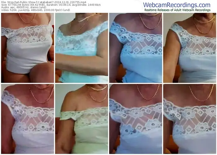 2024/12/01/stripchat-catababa67-22-07-55