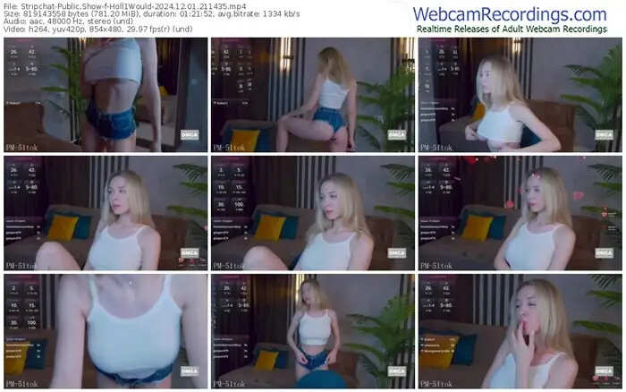 2024/12/01/stripchat-holl1would-21-14-35