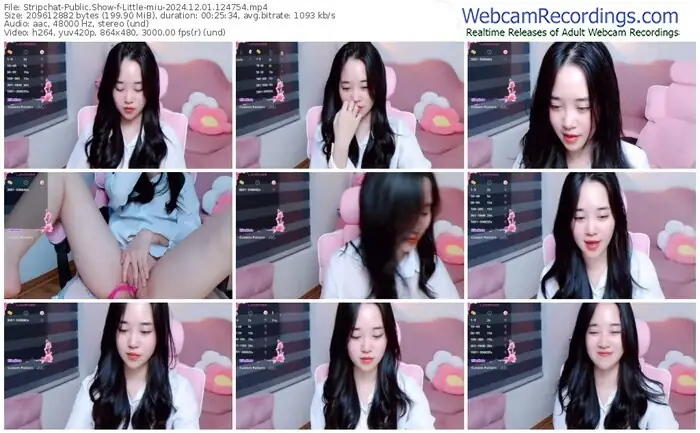 2024/12/01/stripchat-little-miu-12-47-54