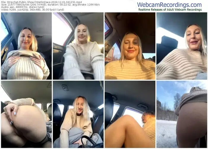 2024/12/01/stripchat-merlindave-04-12-31