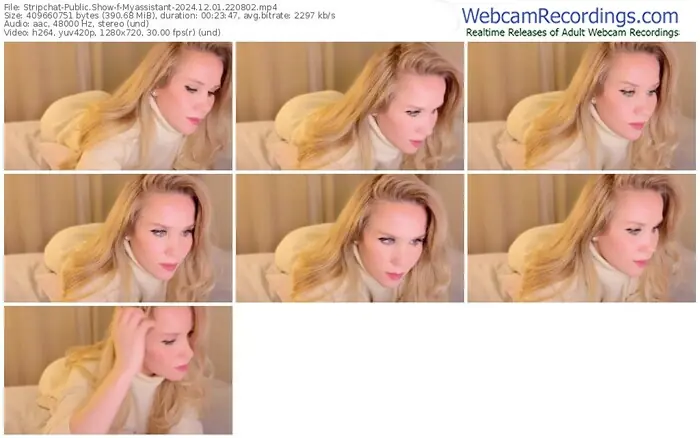 2024/12/01/stripchat-myassistant-22-08-02