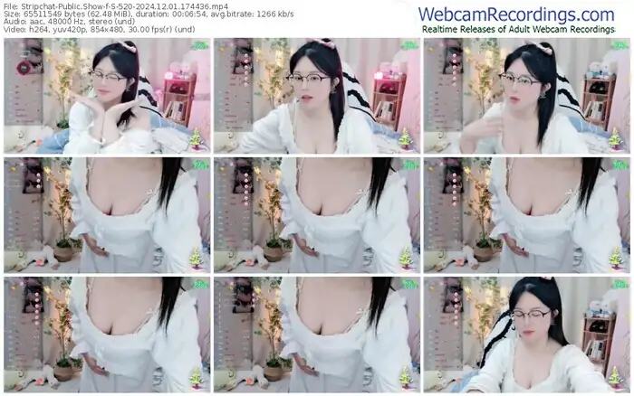 2024/12/01/stripchat-s-520-17-44-36