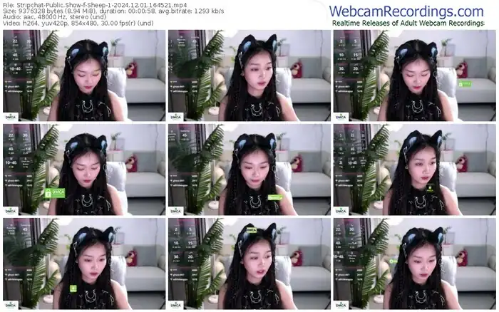 2024/12/01/stripchat-sheep-1-16-45-21