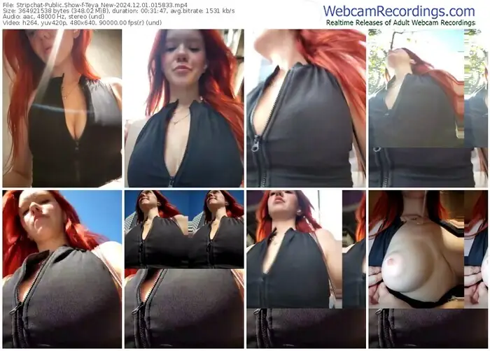 2024/12/01/stripchat-teya_new-01-58-33