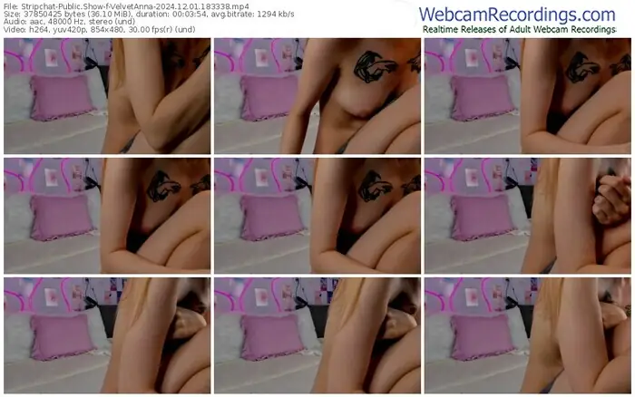 2024/12/01/stripchat-velvetanna-18-33-38