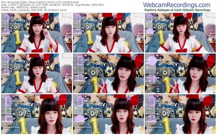 2024/12/01/stripchat-a0513-13-45-16