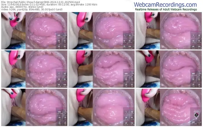 2024/12/01/stripchat-danigirl866-20-25-06