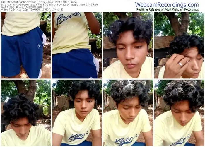 2024/12/01/stripchat-_ottis_-16-02-55