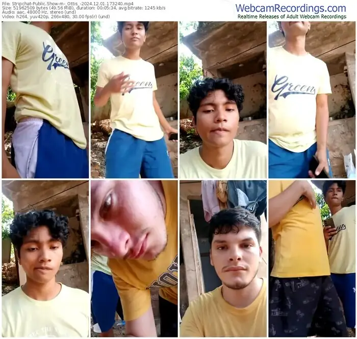 2024/12/01/stripchat-_ottis_-17-32-40