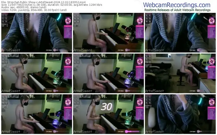 2024/12/02/stripchat-artofsweet-18-33-52