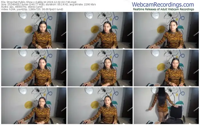 2024/12/02/stripchat-gabby-w-01-17-40