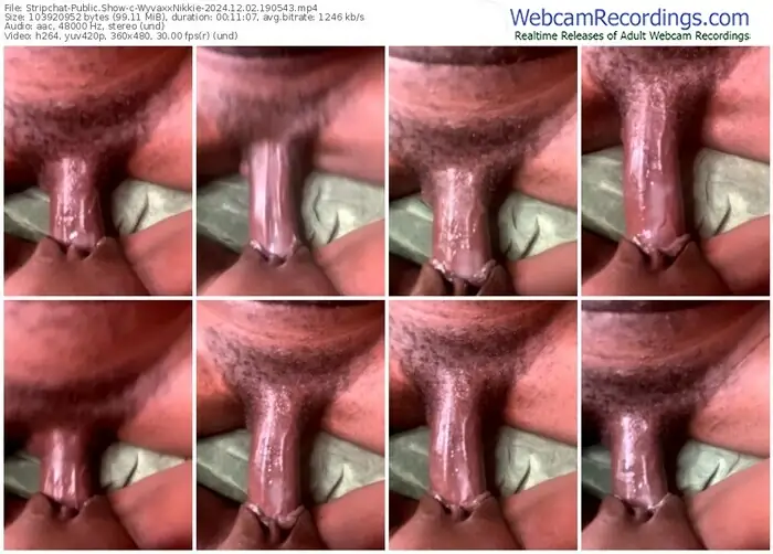 2024/12/02/stripchat-wyvaxxnikkie-19-05-43
