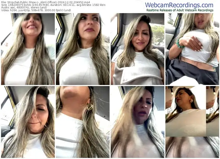 2024/12/02/stripchat-_abril-office1-20-49-52