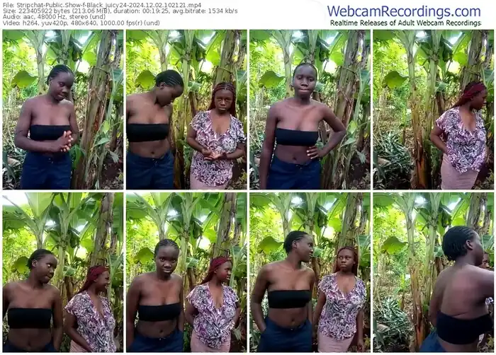2024/12/02/stripchat-black_juicy24-10-21-21
