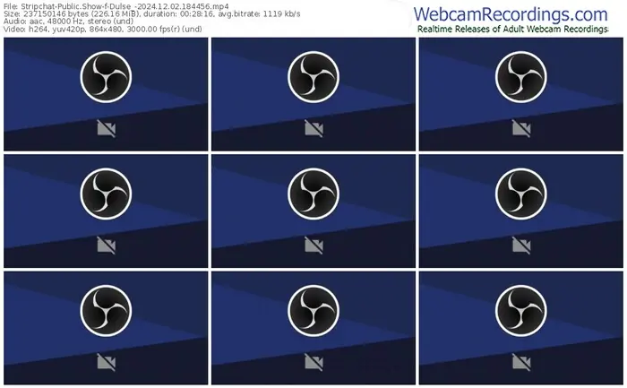2024/12/02/stripchat-dulse_-18-44-56