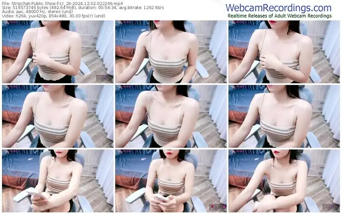 2024/12/02/stripchat-ly_26-02-22-49