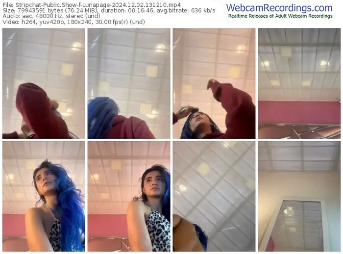 2024/12/02/stripchat-lunapage-13-12-10