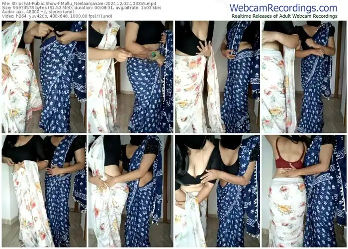 2024/12/02/stripchat-mallu_neelaanjanam-10-33-55