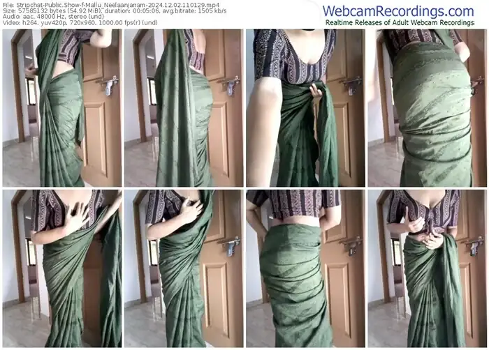 2024/12/02/stripchat-mallu_neelaanjanam-11-01-29