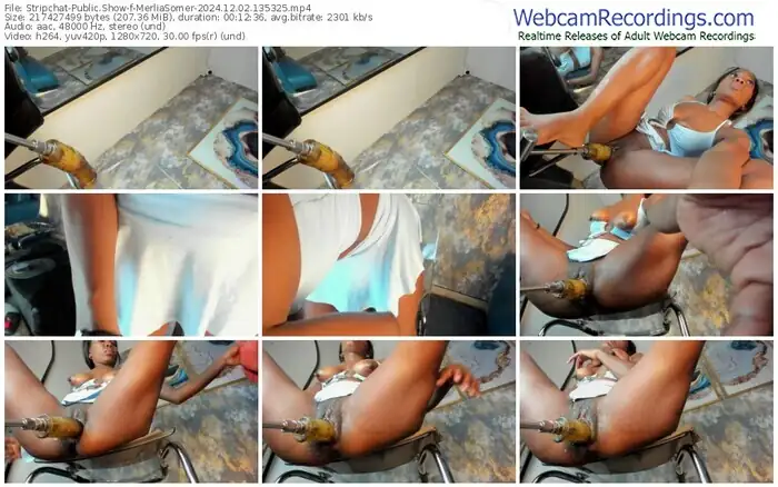 2024/12/02/stripchat-merliasomer-13-53-25