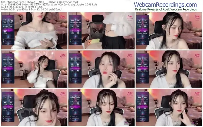 2024/12/02/stripchat-___nari___-23-53-45