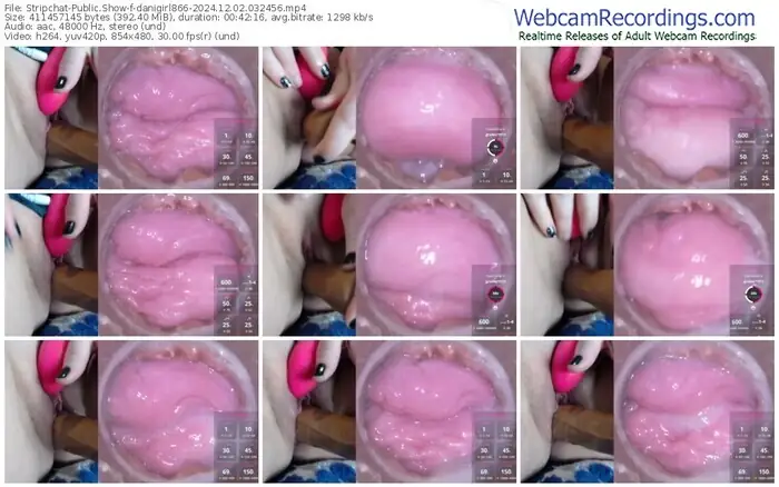 2024/12/02/stripchat-danigirl866-03-24-56