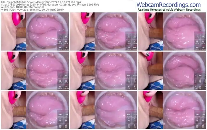 2024/12/02/stripchat-danigirl866-22-11-09