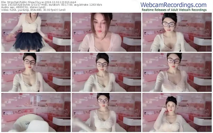 2024/12/02/stripchat-lvy-w-12-19-10