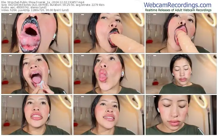 2024/12/02/stripchat-nerak_1a_-19-34-57