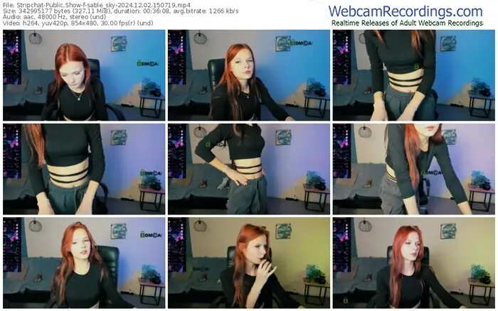 2024/12/02/stripchat-sable_sky-15-07-19