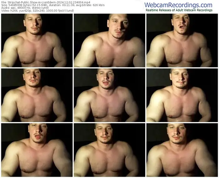 2024/12/02/stripchat-lionedwin-23-40-04
