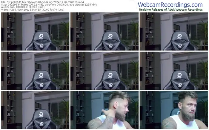 2024/12/02/stripchat-ubbeviking-22-06-56