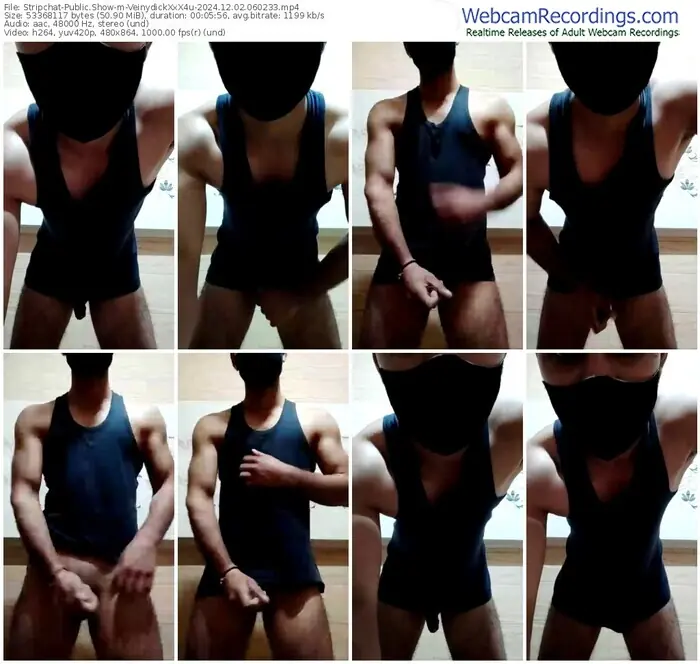 2024/12/02/stripchat-veinydickxxx4u-06-02-33