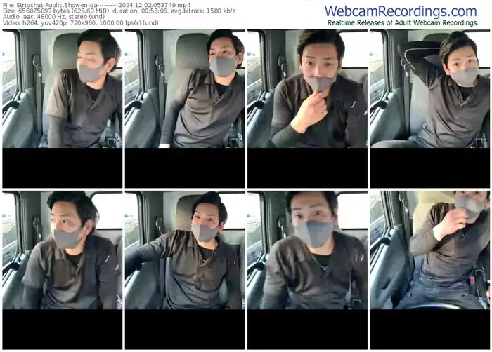 2024/12/02/stripchat-da--------i-05-37-49